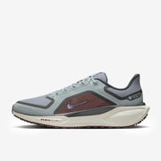Nike Pegasus 41 GORE-TEX