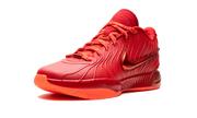 LeBron 21 "James Gang" HF5951 600