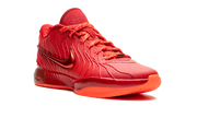 LeBron 21 "James Gang" HF5951 600