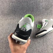 Jordan Air Jordan 3 Grey Green Sneakers 136064-006