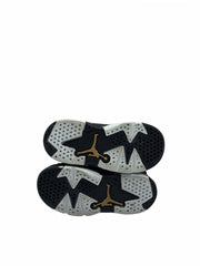 Jordan 6 Retro DMP (TD)