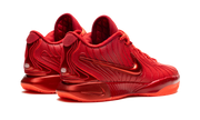 LeBron 21 "James Gang" HF5951 600
