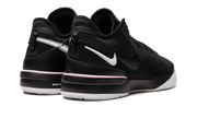 Nike Zoom LeBron NXXT Gen "Black/White" DR8784 003