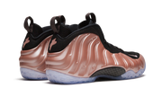 Air Foamposite One "Elemental Rose / Rust Pink" 314996 602