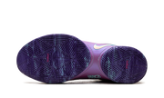 LeBron 22 "Frozen Grapes" HV8454 001