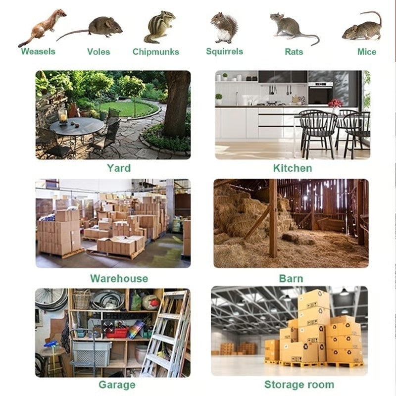 Stainless Steel Automatic Mousetrap