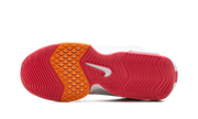 LEBRON WITNESS 8 "DUNKIN DONUTS" FB2239 104