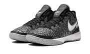 Zoom LeBron NXXT Gen "Black / Wolf Grey" DR8784 005